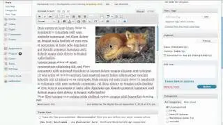 How to Restore a WordPress Post Using Post Revisions
