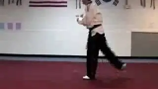 Tae-guk Yuk-jong