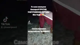 We support the protest against the destruction of BULLY XL