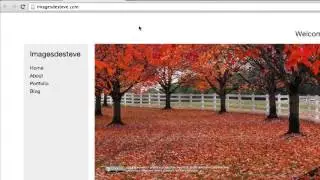 Theme Fonts