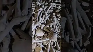catacumbas en Chapultepec cdmx #exploracion #paranormal #exploraciones #leyendas #cuevas #historia