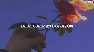 Adele - Set Fire To The Rain (Traducida al Español)