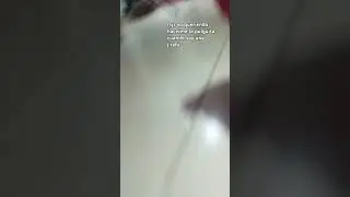 pulga 😂🤣