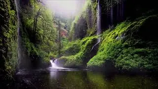 al-mutar vahdir al-hammam al-sabahi yighani zen fouq bahira fe ghaba shalalat al-khozami al-meshoura