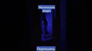 Твоя Совесть