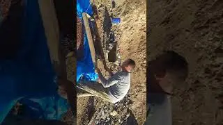 Отсев кедрового ореха