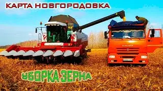 🔴✅ FS19/СХПК Новгородовка/Уборочная#4