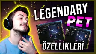LEGENDARY PET GÖREVLERİ | LOST ARK | 