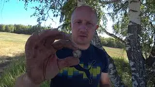 Коп. Поиск монет. Nokta makro legend. Находки царского времени. Часть 2