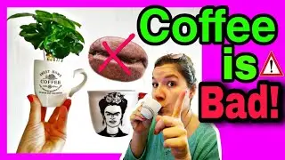 ☕️DON'T fertilize your plants with used 🌱COFFEE ☕️ grounds!