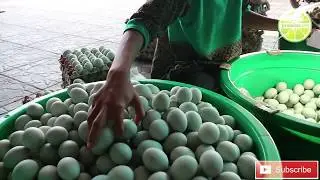 Cara Membuat dan Tips Mengolah Telur Asin by Cah Angon - Jeruklimo.com