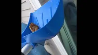 Fly little buddy