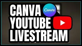 Learn How to Make Video Transitions in Canva [early access]