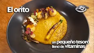 El orito, un pequeño tesoro lleno de vitaminas - Día a Día - Teleamazonas