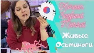 KOREA VLOG: Пробуем Живых Осьминогов | Корейский Рынок Морепродуктов | Дорого, Но Невкусно
