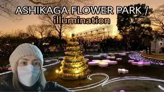 ASHIKAGA FLOWER PARK/ ILLUMINATION