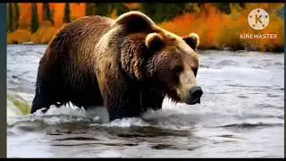 Мы родились в Сибири//новый бизнес//обзор канала