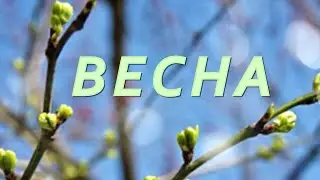ВЕСНА