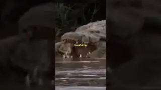 300 People Eaten by This Crocodile! : Gustave the Crocodile 
