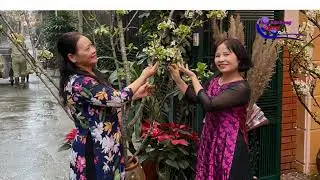 Ngày Hậu Quốc Tế Phụ Nữ 08/03