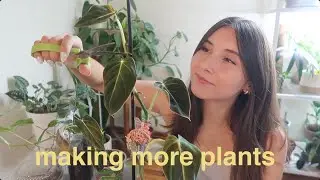 lil propagating & a lil chatting