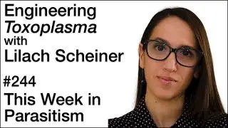 TWiP 244: Engineering Toxoplasma