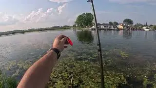 Good time at Metro Park
