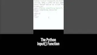 Python input Function for Beginners!