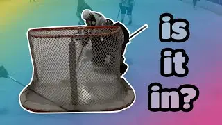Did it cross the line?? // Pick-up Hockey // April 3, 2021
