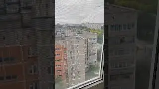 11 сентября 2024 г.