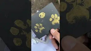 Gardener finds veterans buried pet tribute 🥹