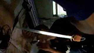 Sri Lanka - man eats sword on train from Colombo to Galle