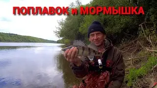 НЕОБЫЧНАЯ СНАСТЬ ЛОВИТ ДАЖЕ В ХОЛОД. Рыбалка на ОКЕ в мае.