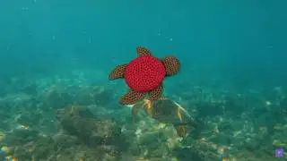 The Little Lost GoPro - Crochet Animation