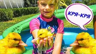 Принцессы и веселые живые УТЯТА купаются. Летние игры в БОЛЬШОМ БАССЕЙНЕ С ШАРИКАМИ!