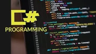 learn programming