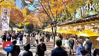 Walking in Seoul l Deoksugung Stone Wall Path l Autumn leaves / 덕수궁 돌담길 단풍 걷기 l 2024.11.7