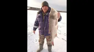 Такой рыбалки у меня не было - Рыбалка на Амуре на хапугу - Разнорыбица (По последнему льду)