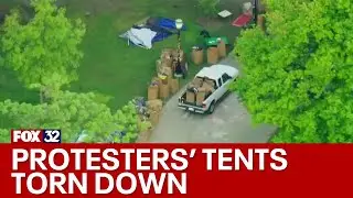 Pro-Palestine encampment at UChicago torn down by police amid protests