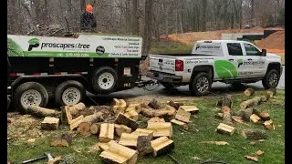 How Proscapes & Tree Went From $300k in 2020, to Breaking Past $1MM in 2021 (2nd Year In Business)