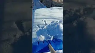Откапываю трудягу)