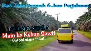 Kembali ke Habitat Asal Kijang Tua Main Rumput di Kebun Sawit