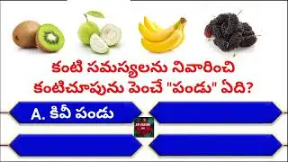 Interesting Questions In Telugu / Unknown Facts / General Knowledge / Telugu Quiz
