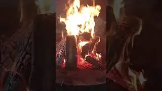 ГудиноГриль
