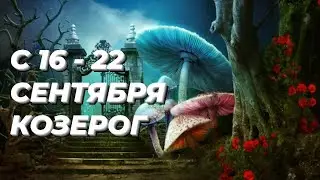 ❤️КОЗЕРОГ. ♑️С 16 - 22 сентября 2024.♑️