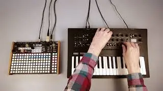 Synthstrom Deluge & Minilogue XD