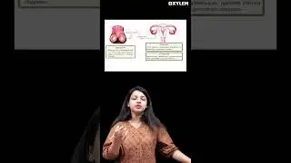Biology 3rd Chapter - ഈ ചോദ്യം ഉറപ്പ്💯