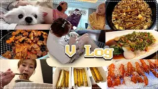 🌞직원들과 바이킹스 회식🍻, 시니&나도 미쿡과자😝먹여보기, 이래도 되나 싶게 약밥, 콩나물밥 만들기, 춘삼 옵하🐶새집 공개!신생아 옵하 케어하는 햇님의 삶이란..🤪 230323