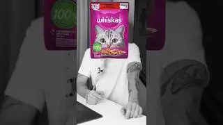 Тактика в рейде гномереган, в сезоне открытий! 