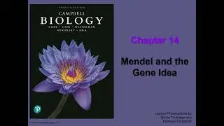 General Biology (College) - Chapter 14 - Mendel and the Gene Idea